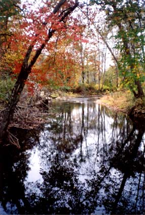 The Hazel River in Rappahannock County