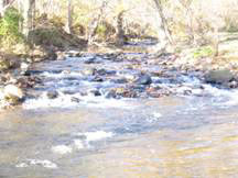 South Fork of Thornton River in Sperryville VA