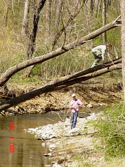Riparian buffer evaluation and stream observations, Rush River 2006